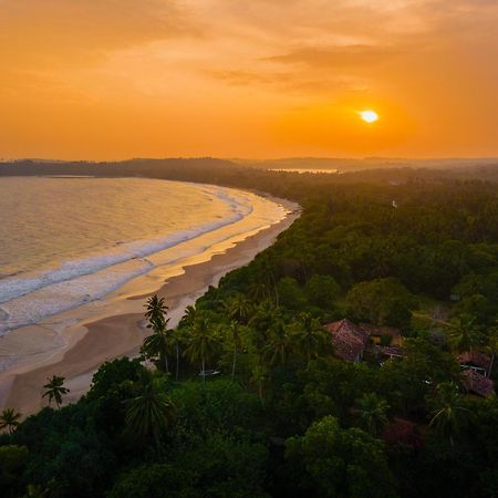 The Last House Tangalle Buitenkant foto